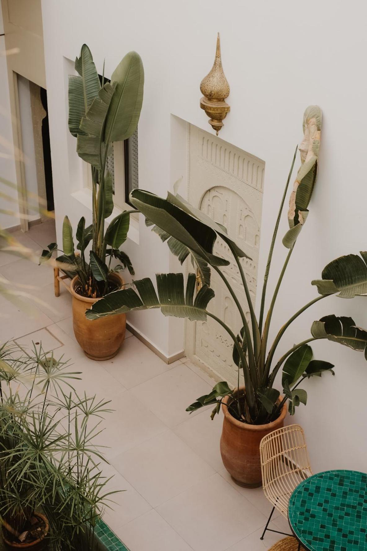 Riad Dar Blanche & Spa Marrákes Kültér fotó