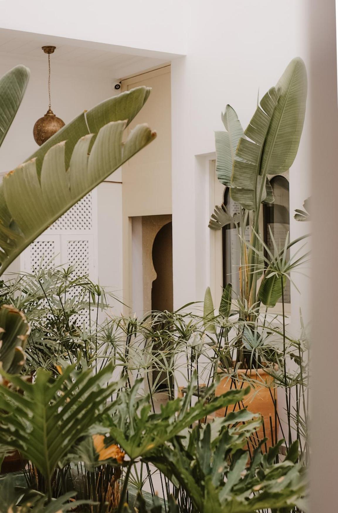 Riad Dar Blanche & Spa Marrákes Kültér fotó